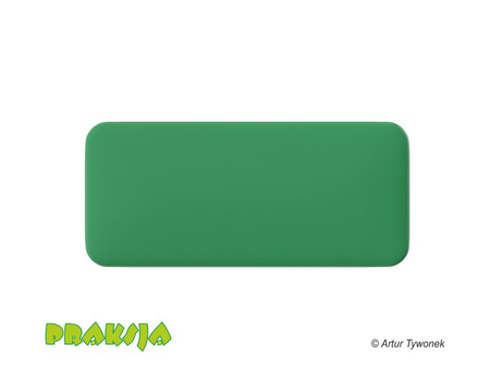 Deskorolka terapeutyczna 40x90 cm - Praksja
