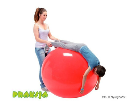 Piłka rehabilitacyjna Physio 95 cm - niebieska - Gymnic®