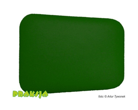 Deskorolka terapeutyczna 36x46 cm - trapezowa - Praksja
