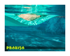 Mata rehabilitacyjna Airex® Herkules 200 cm