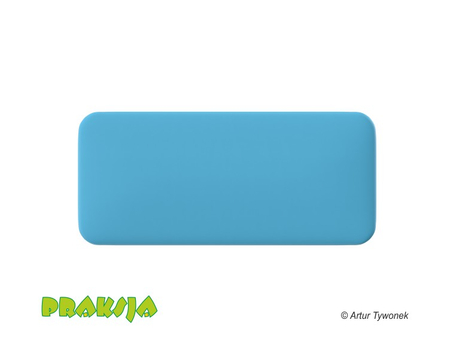 Deskorolka terapeutyczna 40x90 cm - Praksja